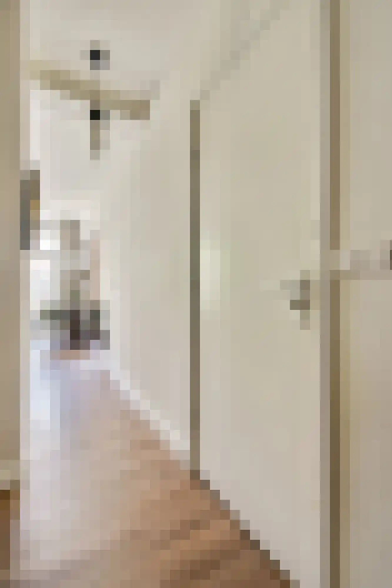 Wijsmullerstraat 22 H Amsterdam thumbnail 11