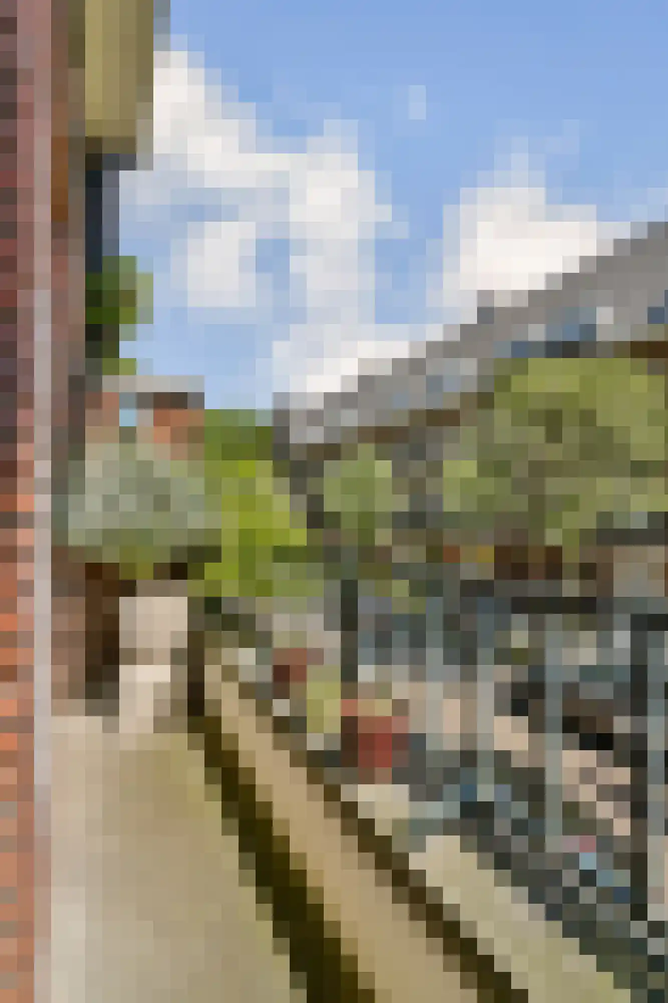 Wijsmullerstraat 22 H Amsterdam thumbnail 20