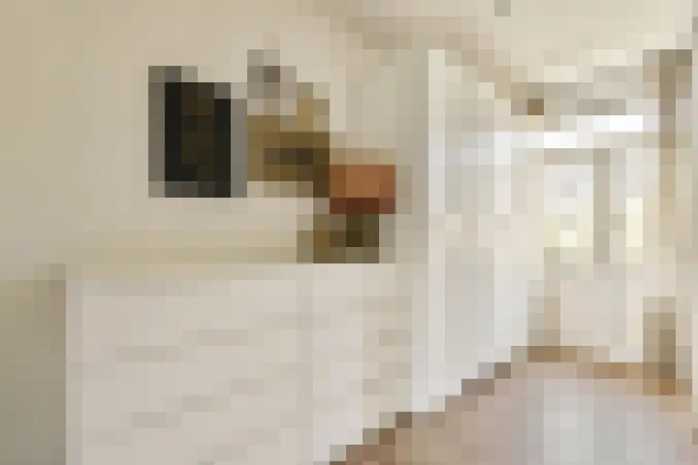 Wijsmullerstraat 22 H Amsterdam thumbnail 26