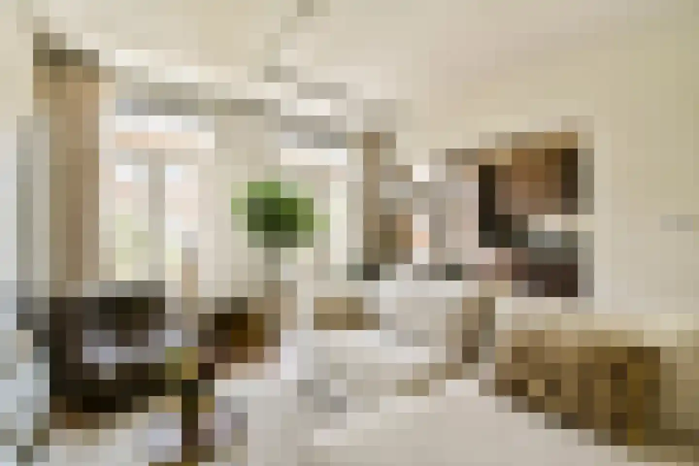 Wijsmullerstraat 22 H Amsterdam thumbnail 7