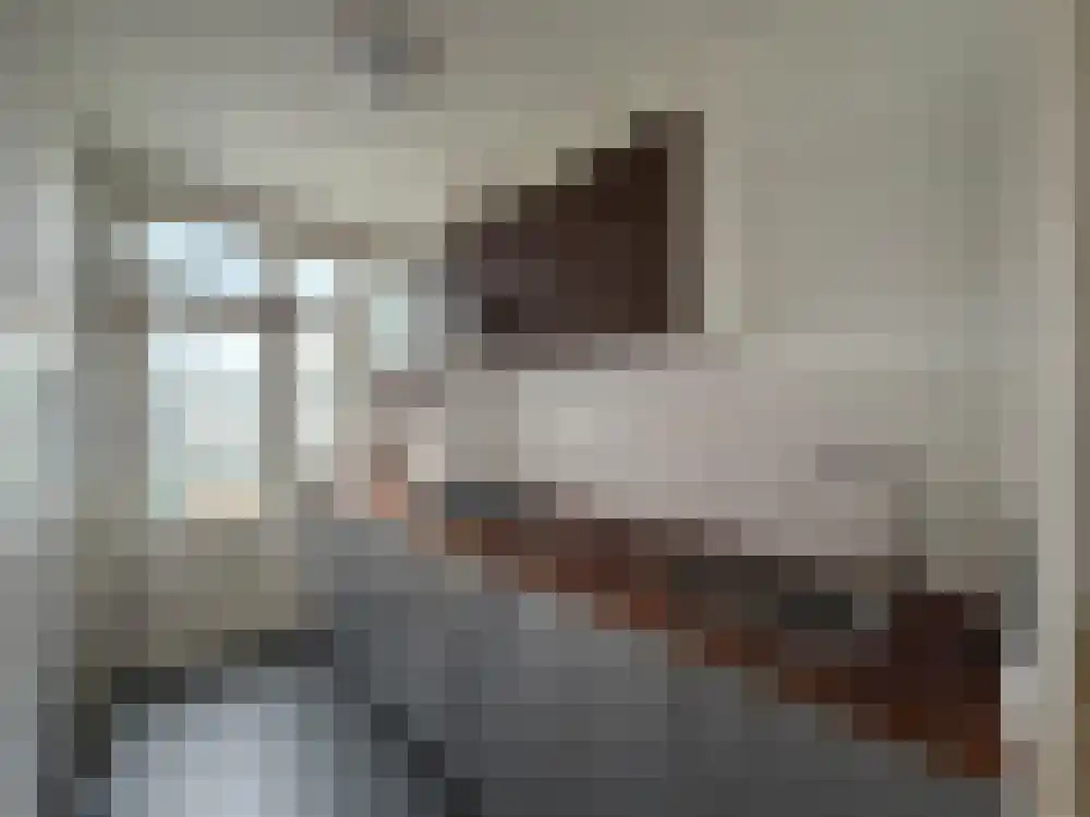 Wijsmullerstraat 25 Amsterdam thumbnail 11