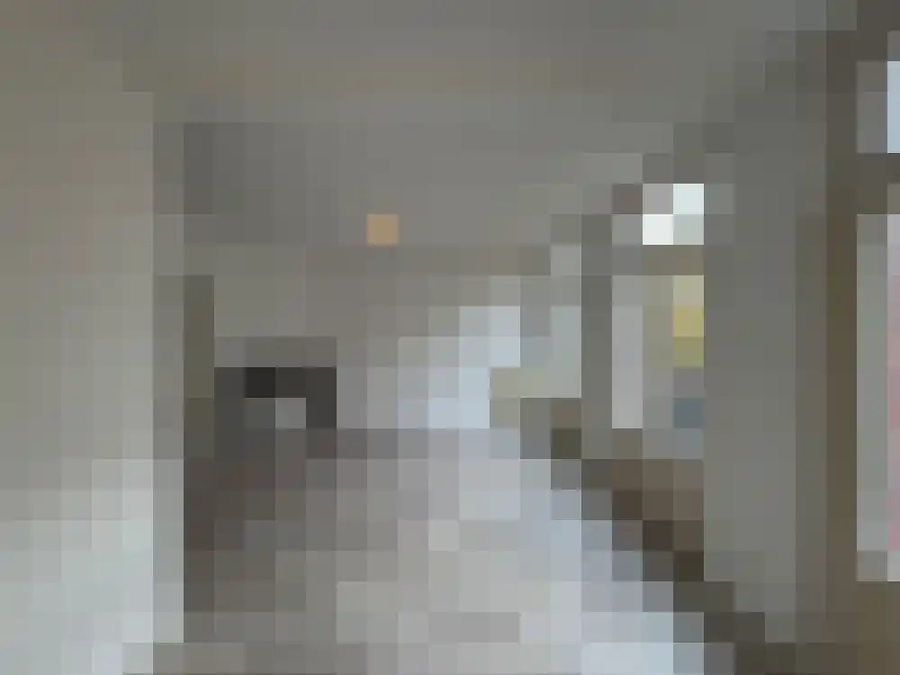 Wijsmullerstraat 25 Amsterdam thumbnail 8