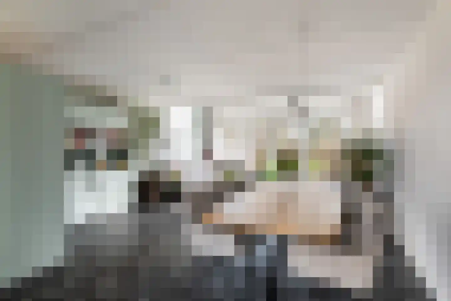 Wijsmullerstraat 26 Gouda thumbnail 8
