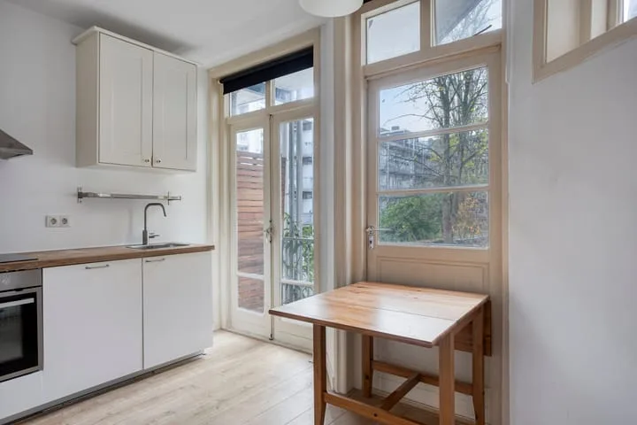 Wijsmullerstraat 44 2 Amsterdam thumbnail 14