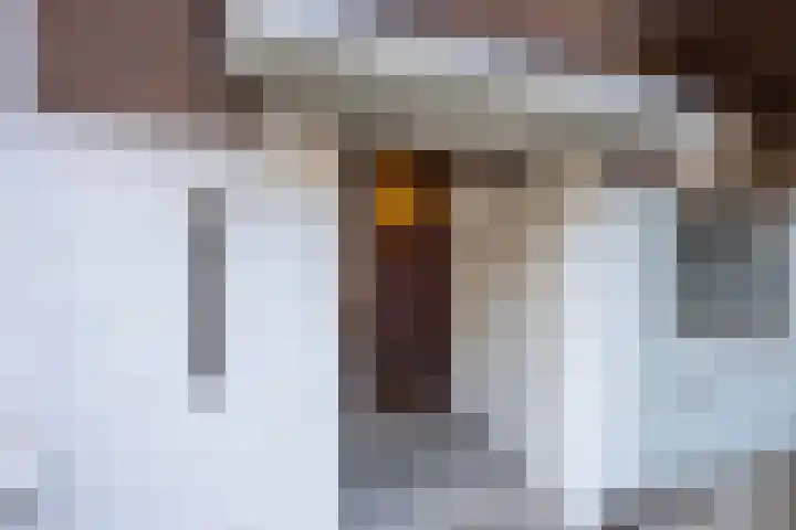 Wijsmullerstraat 44 2 Amsterdam thumbnail 4