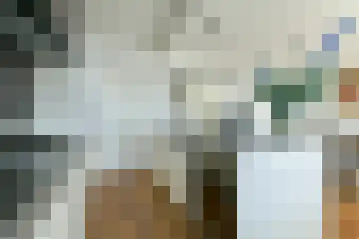 Wijsmullerstraat 49 1 Amsterdam thumbnail 7