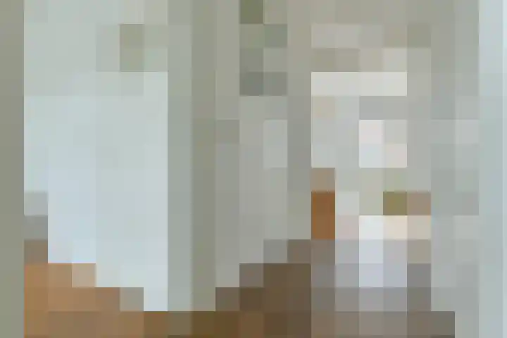Wijsmullerstraat 51 1 Amsterdam thumbnail 8