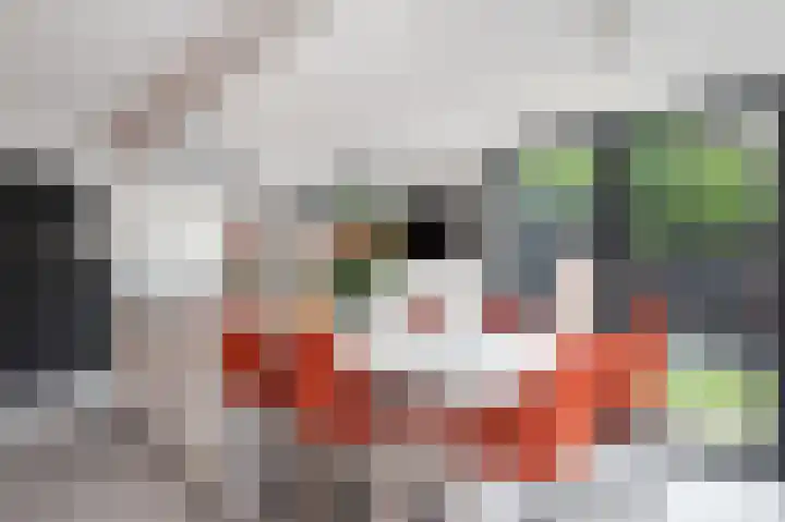 Wijsstraat 4 Schijndel thumbnail 12