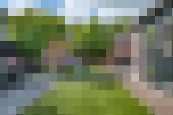 Wijsstraat 4 Schijndel thumbnail 50