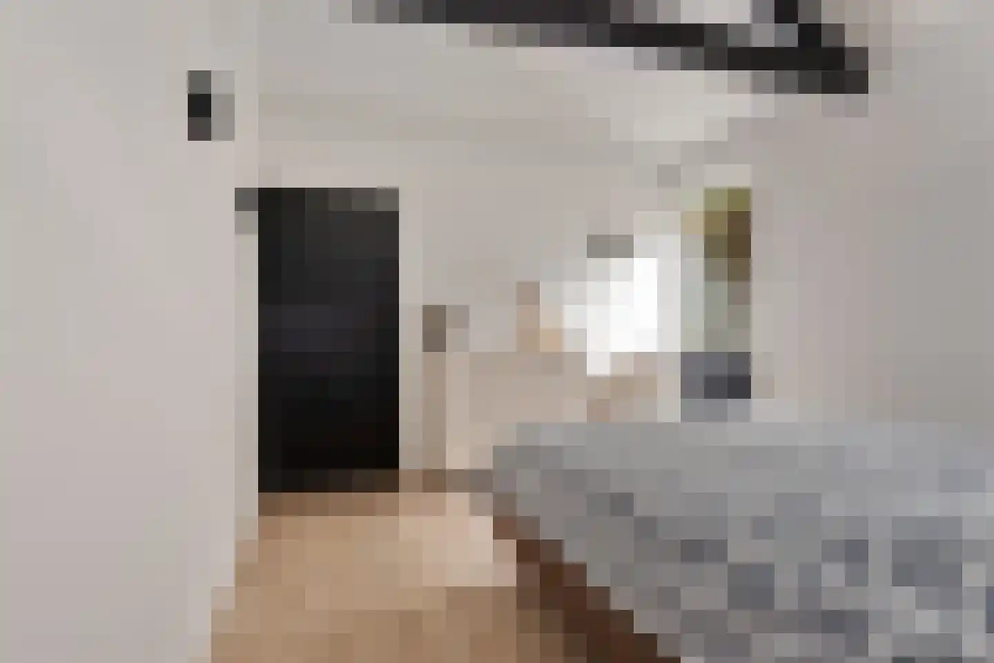 Wijsstraat 46 Schijndel thumbnail 13