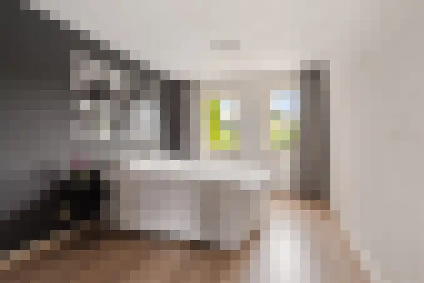 Wijsstraat 46 Schijndel thumbnail 17