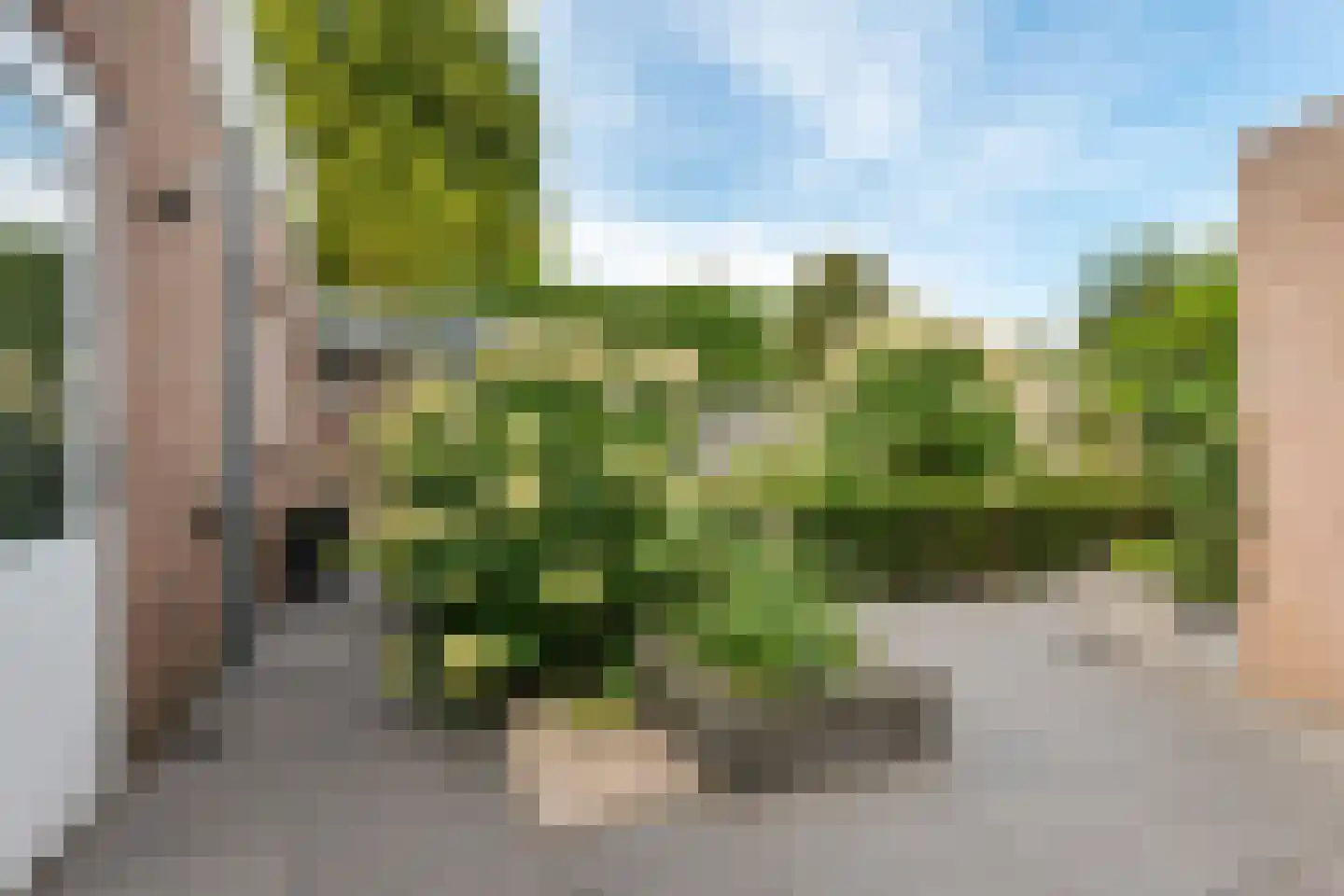 Wijsstraat 46 Schijndel thumbnail 30