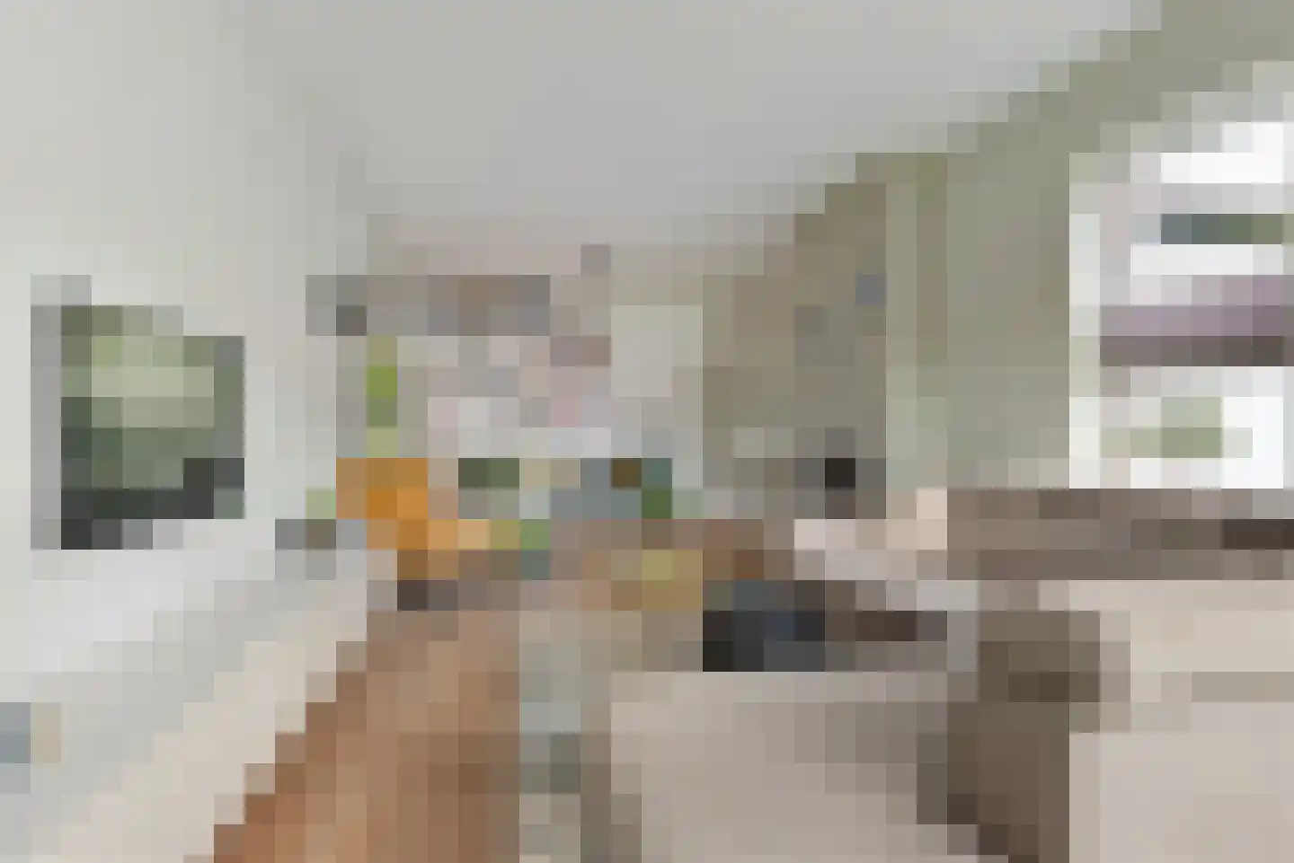 Wijsstraat 46 Schijndel thumbnail 4
