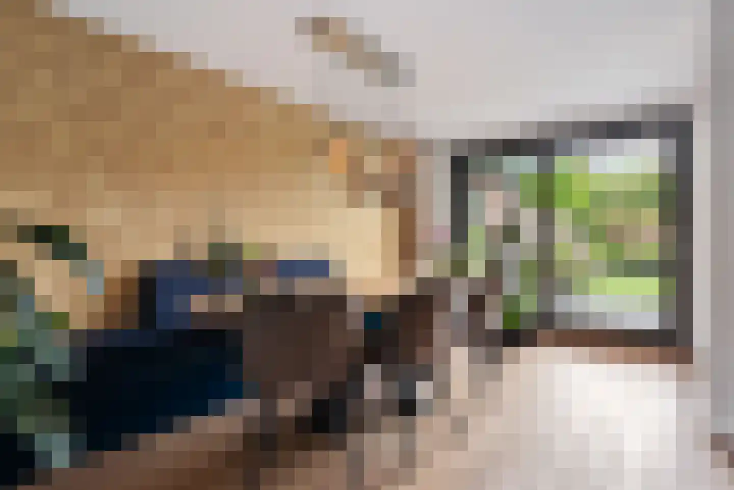 Wijsstraat 46 Schijndel thumbnail 5