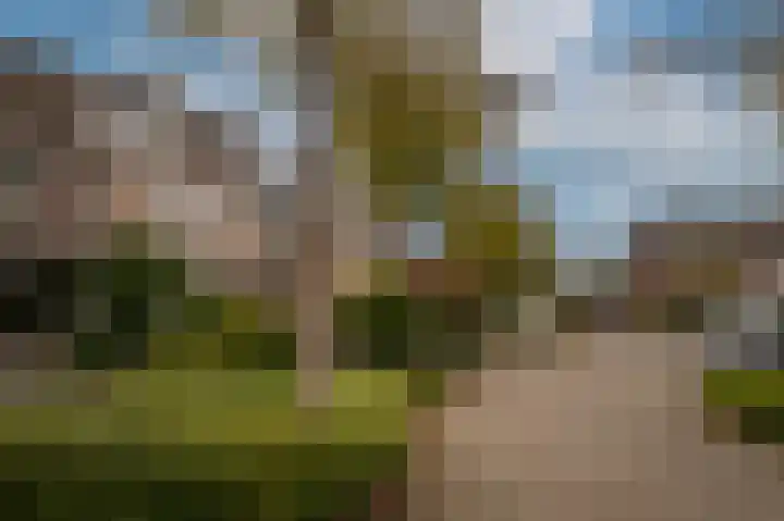 Wijsstraat 55 Schijndel thumbnail 34