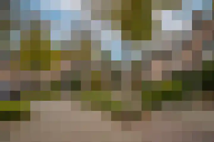 Wijsstraat 55 Schijndel thumbnail 36