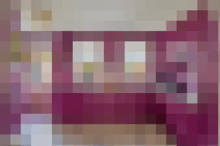 Wijst 27 Gemert thumbnail 10