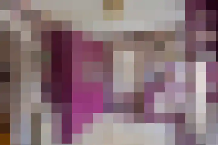 Wijst 27 Gemert thumbnail 13