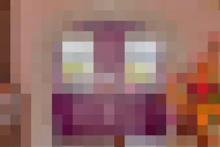 Wijst 27 Gemert thumbnail 14