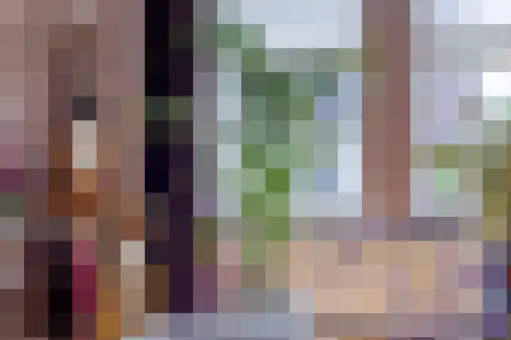 Wijst 27 Gemert thumbnail 15