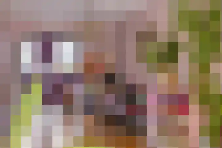 Wijst 27 Gemert thumbnail 16