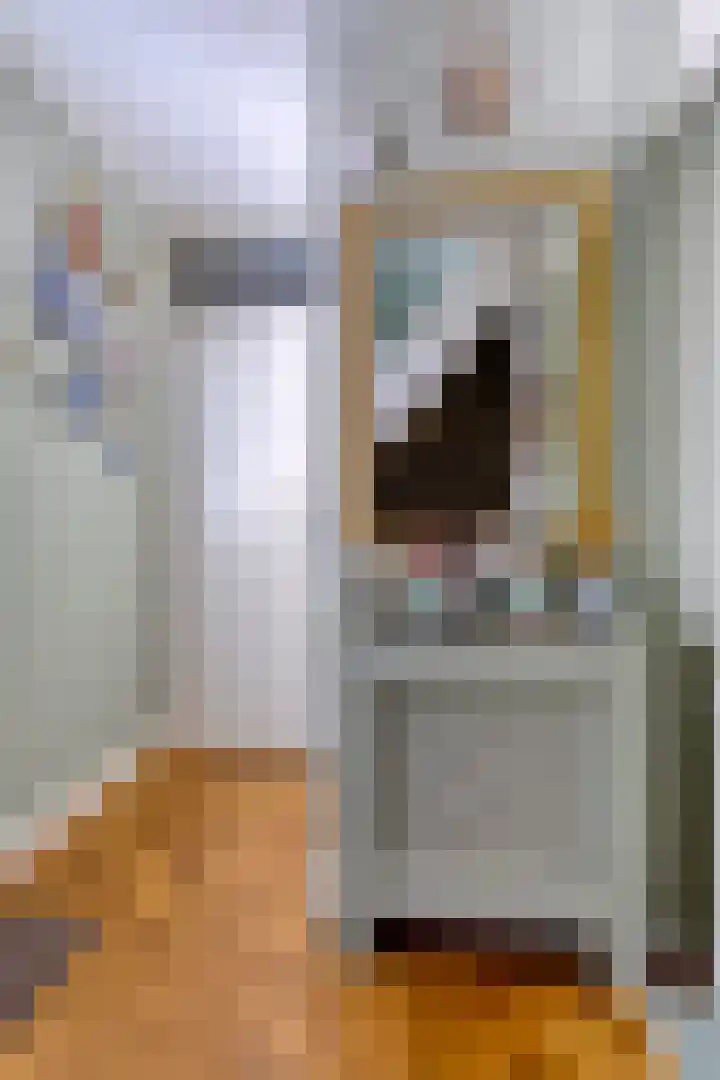 Wijst 27 Gemert thumbnail 18