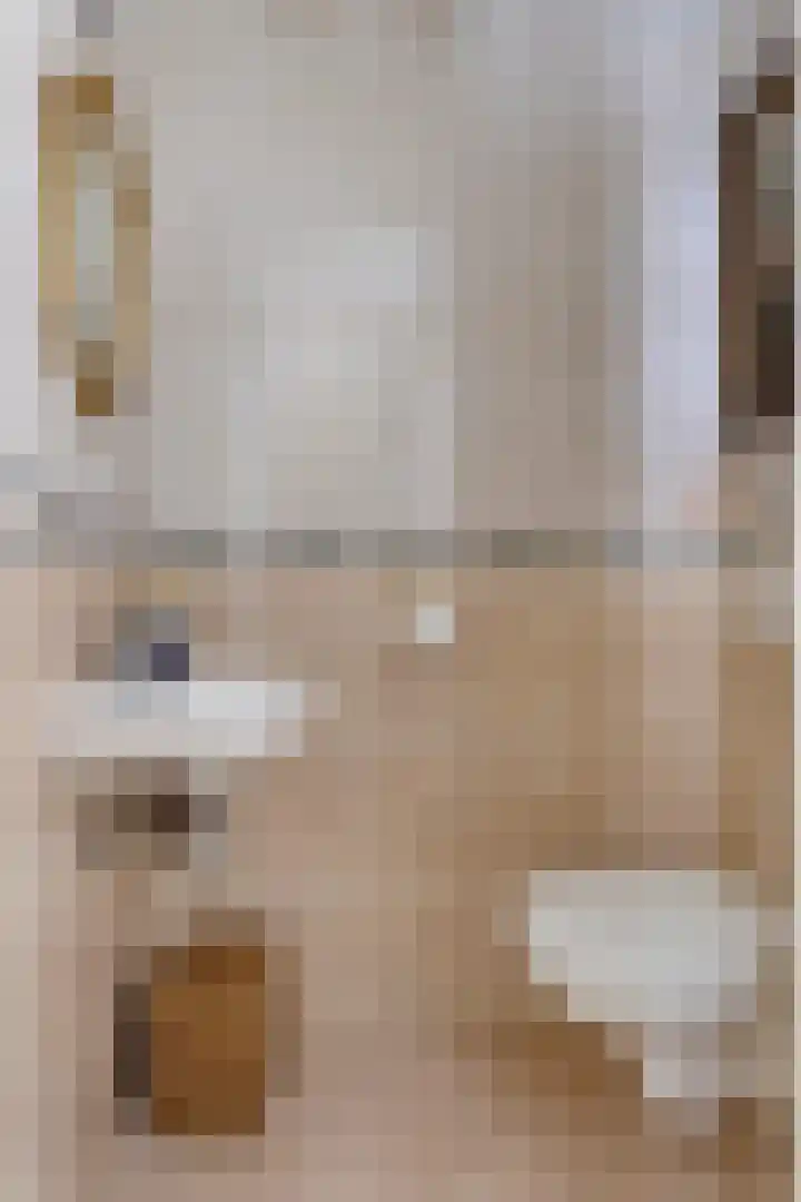 Wijst 27 Gemert thumbnail 19