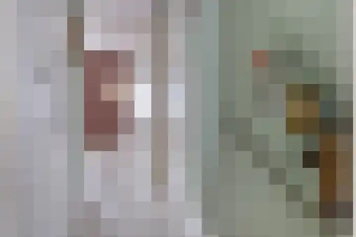 Wijst 27 Gemert thumbnail 20