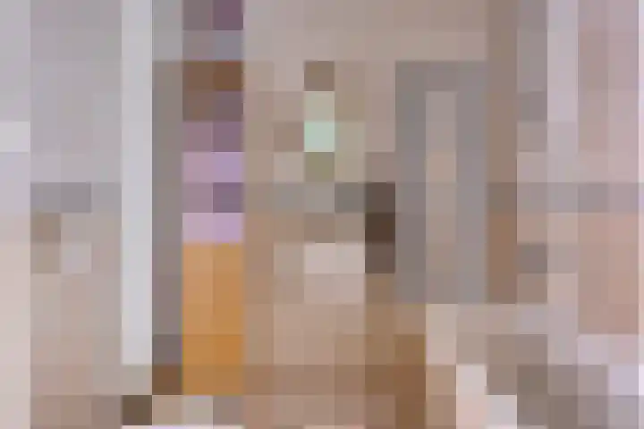 Wijst 27 Gemert thumbnail 24