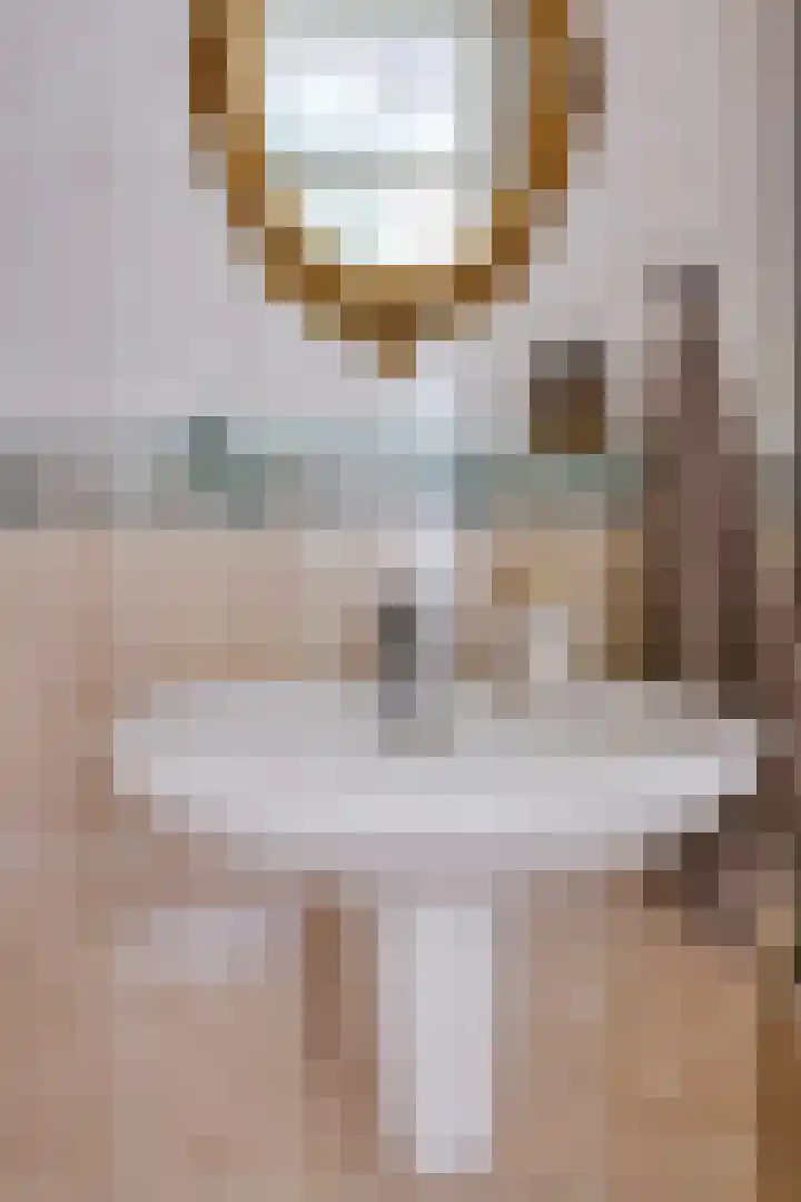 Wijst 27 Gemert thumbnail 25