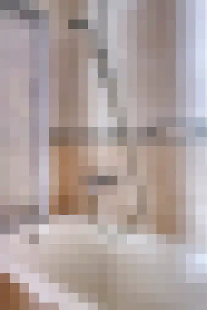 Wijst 27 Gemert thumbnail 26