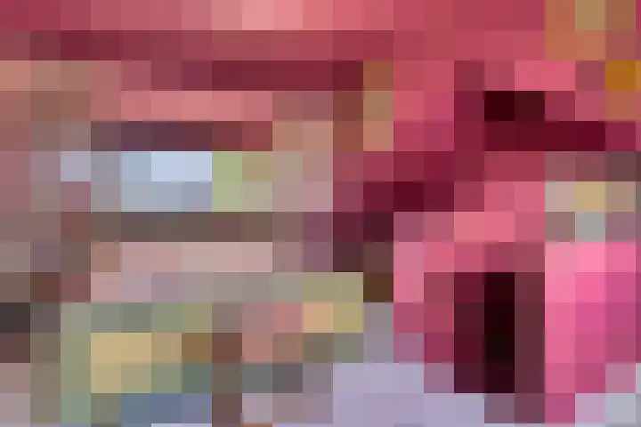 Wijst 27 Gemert thumbnail 29