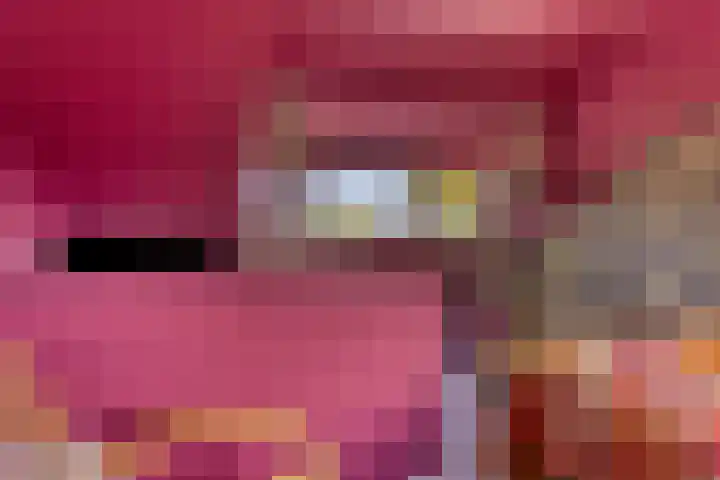 Wijst 27 Gemert thumbnail 30