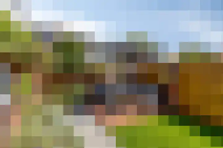 Wijst 27 Gemert thumbnail 31