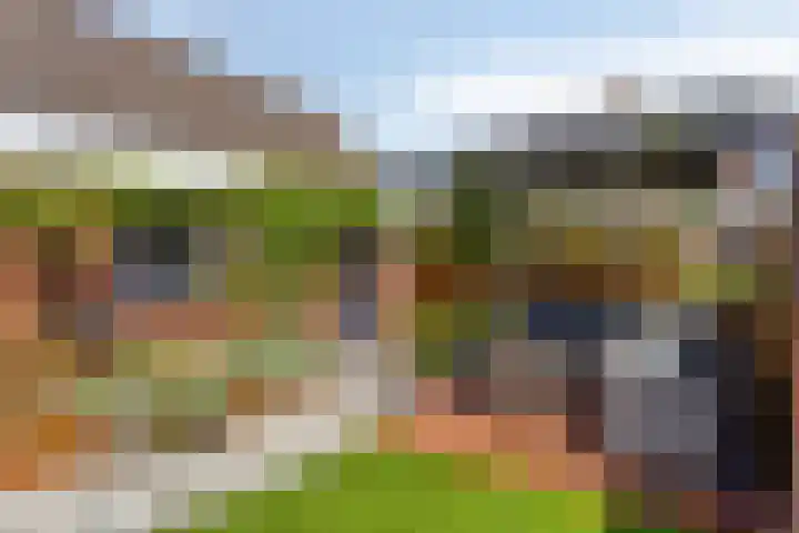 Wijst 27 Gemert thumbnail 32
