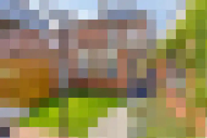 Wijst 27 Gemert thumbnail 33