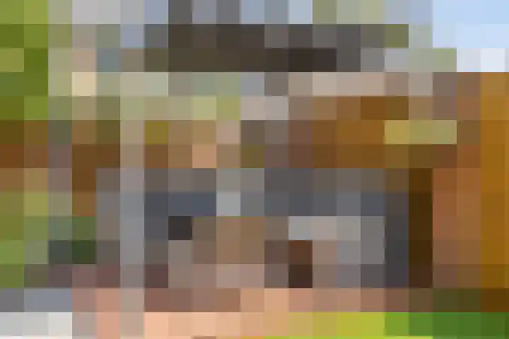 Wijst 27 Gemert thumbnail 34