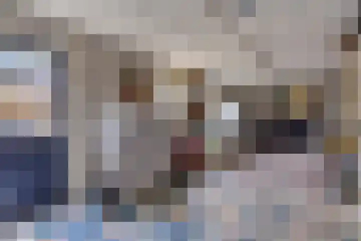 Wijst 27 Gemert thumbnail 35