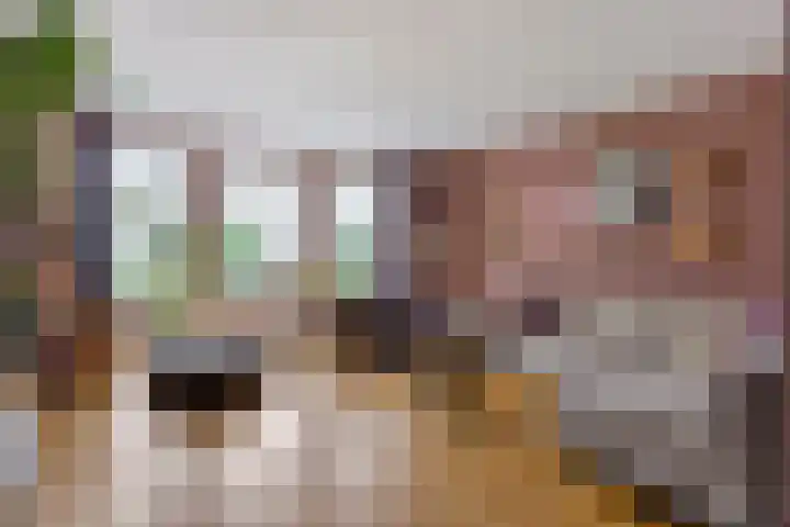 Wijst 27 Gemert thumbnail 4