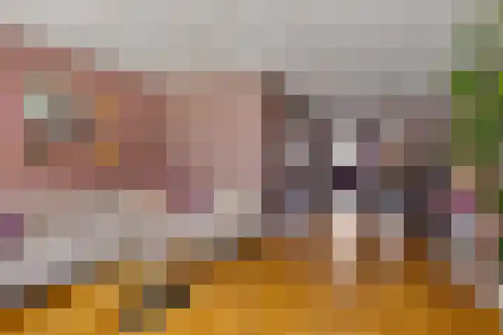 Wijst 27 Gemert thumbnail 5