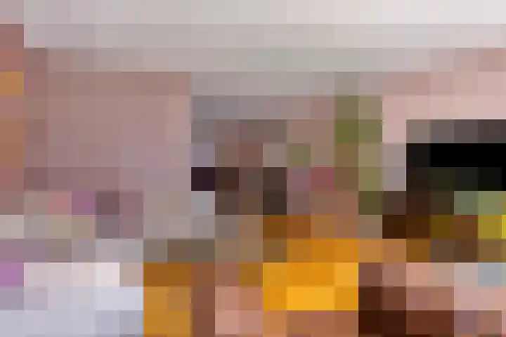 Wijst 27 Gemert thumbnail 6