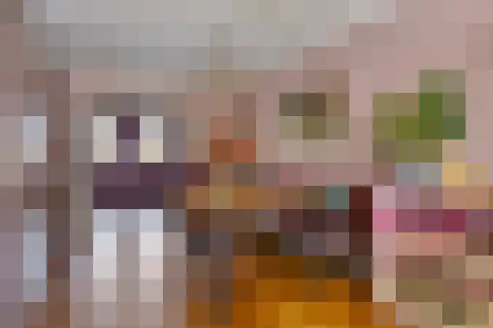 Wijst 27 Gemert thumbnail 7