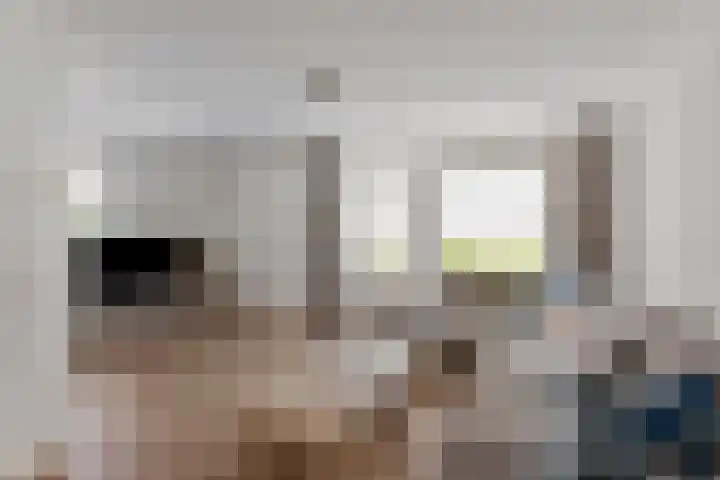 Wijst 73 Gemert thumbnail 12