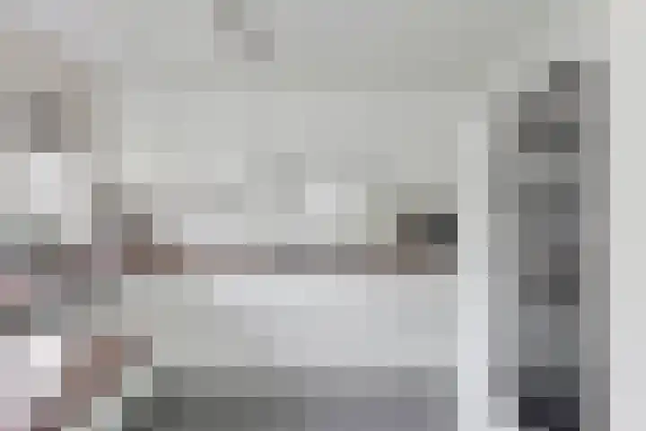 Wijst 73 Gemert thumbnail 19