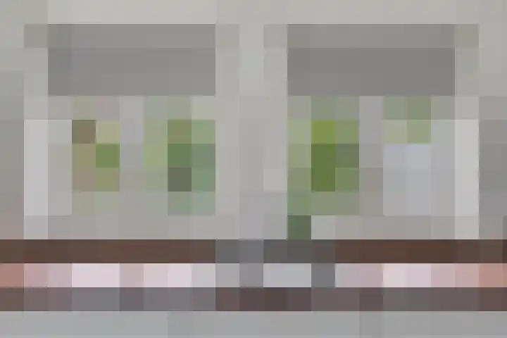 Wijst 73 Gemert thumbnail 21