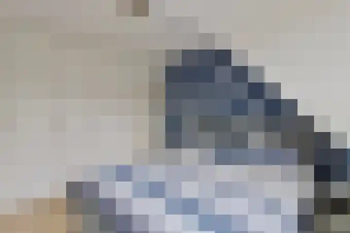 Wijst 73 Gemert thumbnail 25