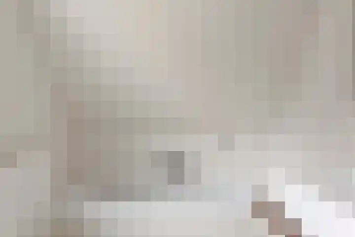 Wijst 73 Gemert thumbnail 27