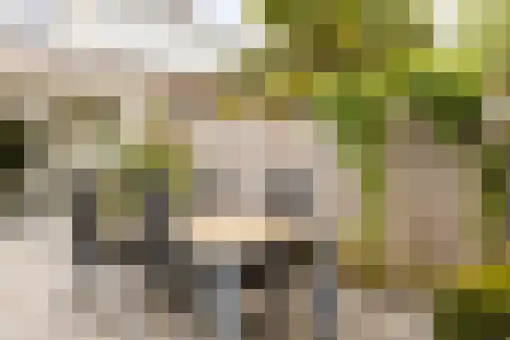Wijst 73 Gemert thumbnail 37