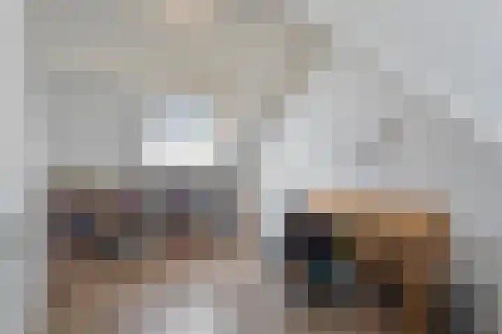 Wijst 73 Gemert thumbnail 4