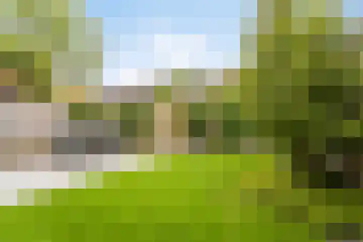 Wijst 73 Gemert thumbnail 5